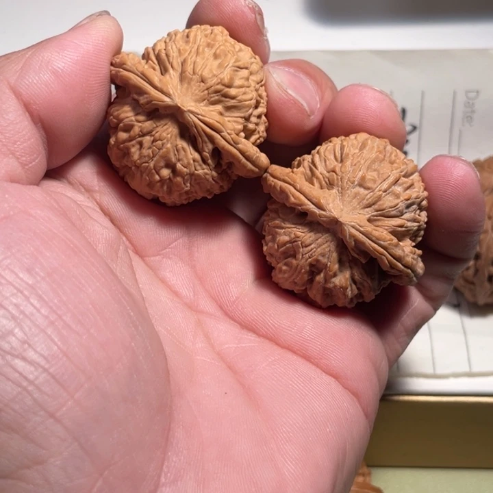 文玩核桃把件核桃