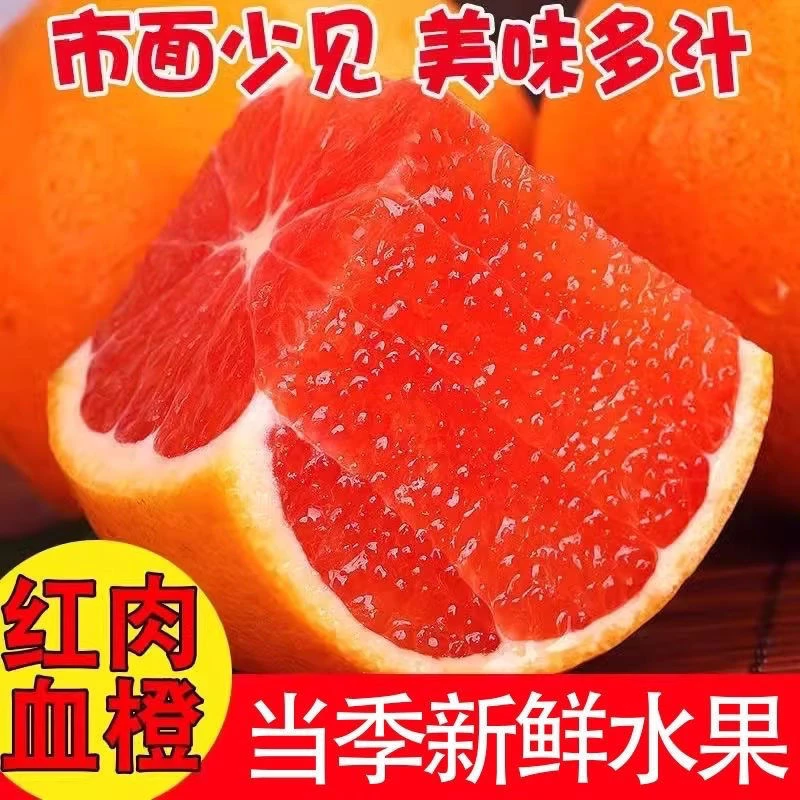 v湖北秭归中华红红橙现摘现发基地直采