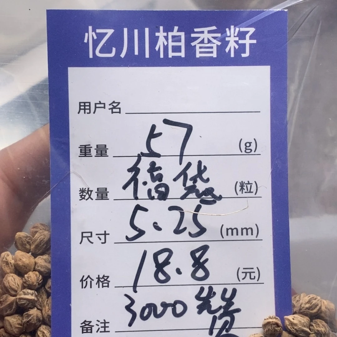 柏香籽/百香籽吊坠