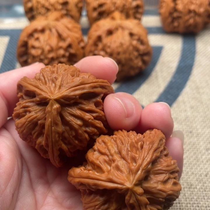 虹***宇核桃白狮子40核桃