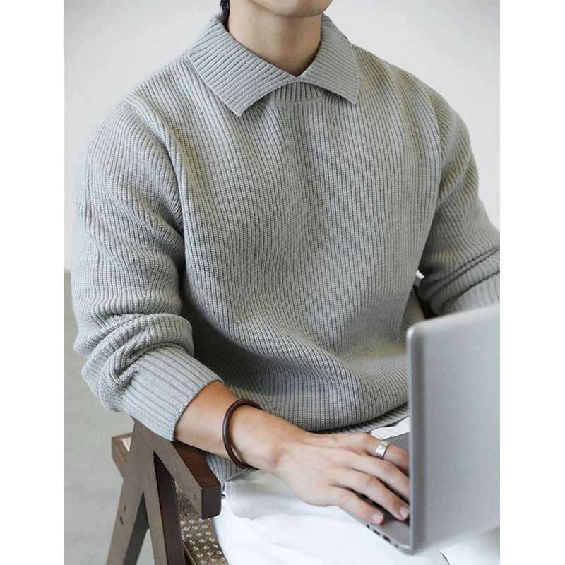 绅士翻领简约毛衣长袖宽松秋冬男冬季2025新款高级感针织衫毛线