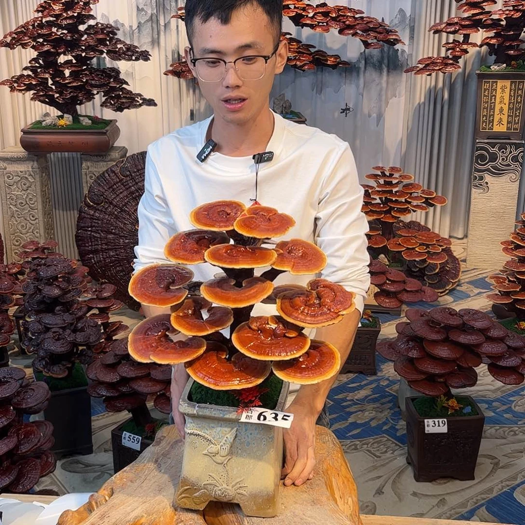 无花朵88888888888