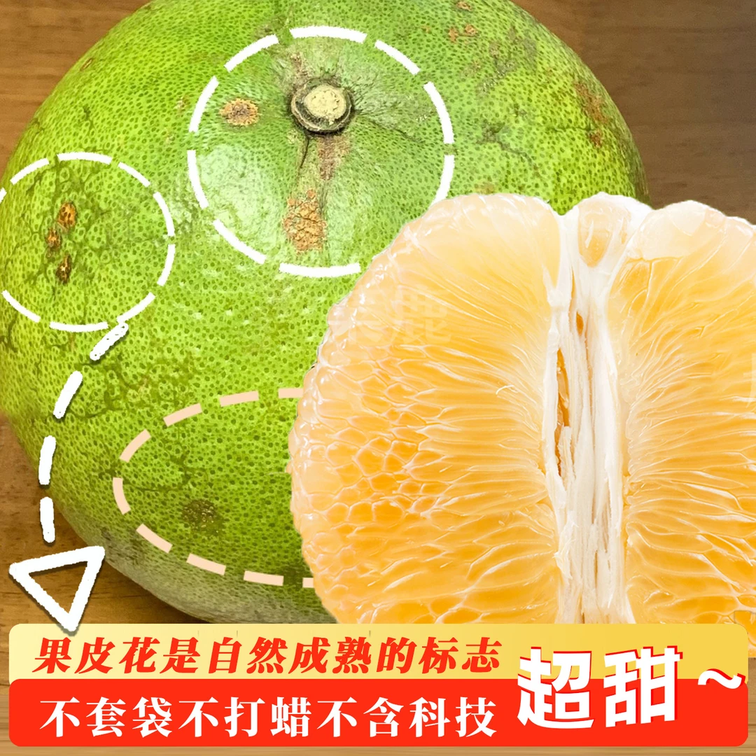 进口翡翠柚子泰国青柚老树花皮果树上熟当季进口青柚新鲜水果泰柚