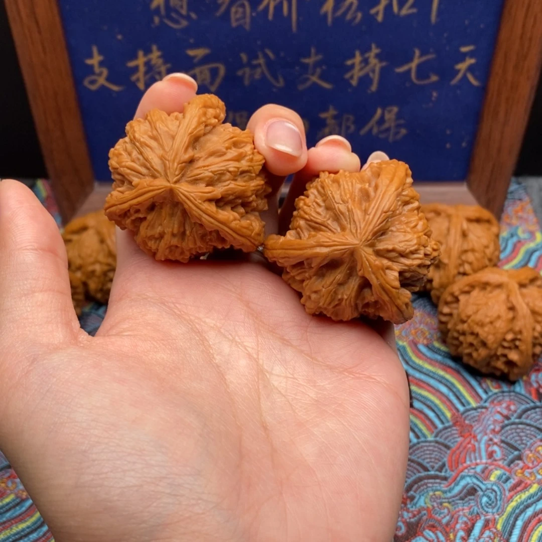 【闪购商品】知**乐白狮