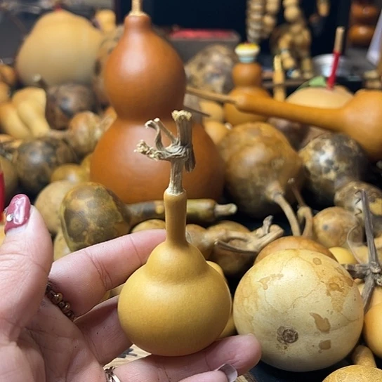 立*葫芦葫芦葫芦葫芦