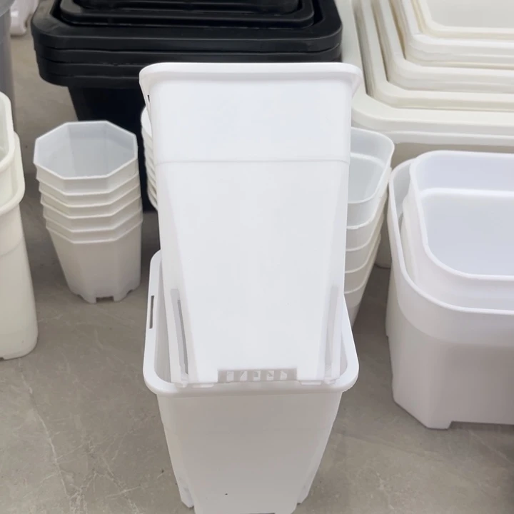 白高方口10高14一组10个福利款