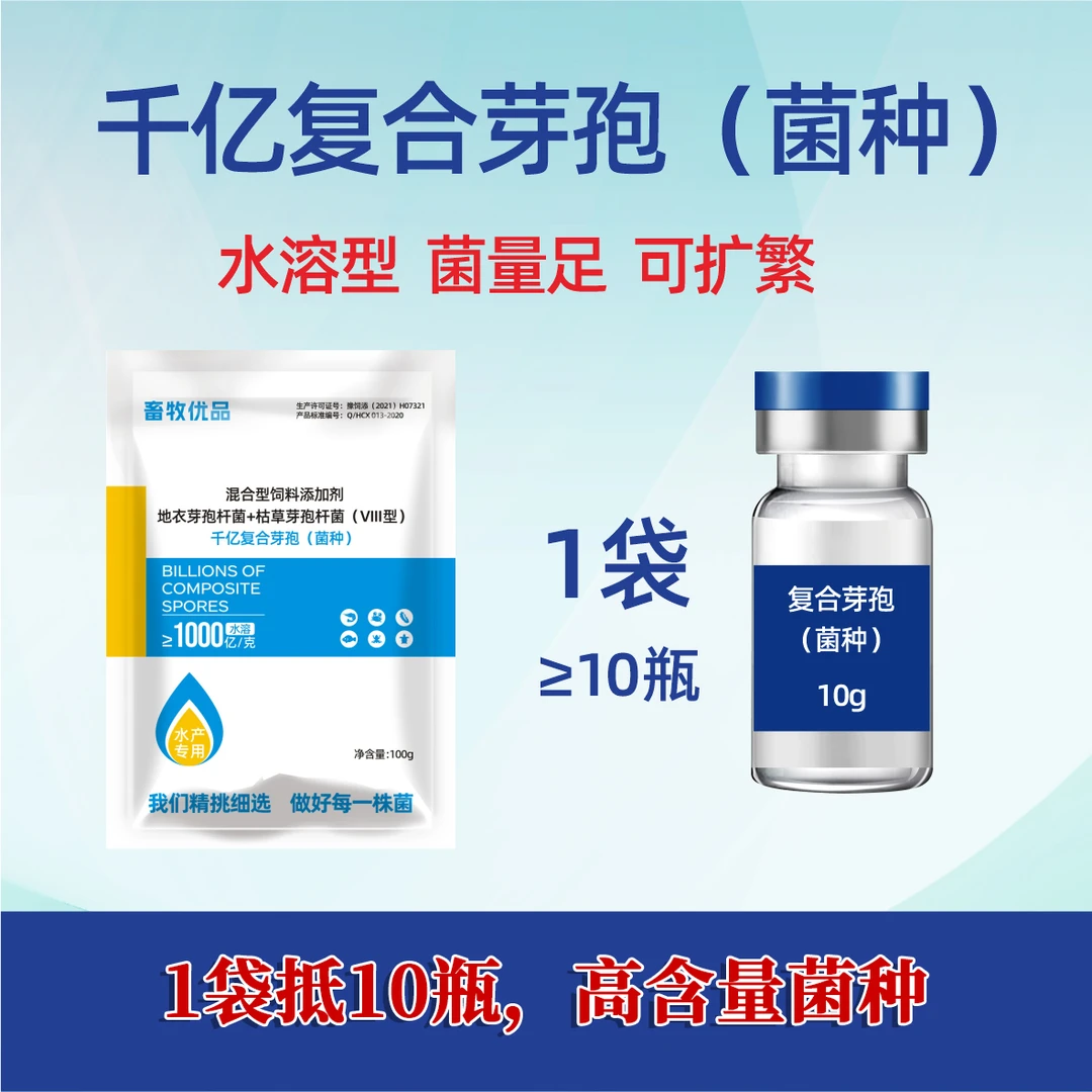 【菌种】千亿芽孢杆菌水产专用杆菌种鱼虾蟹调水水产净水芽孢杆菌