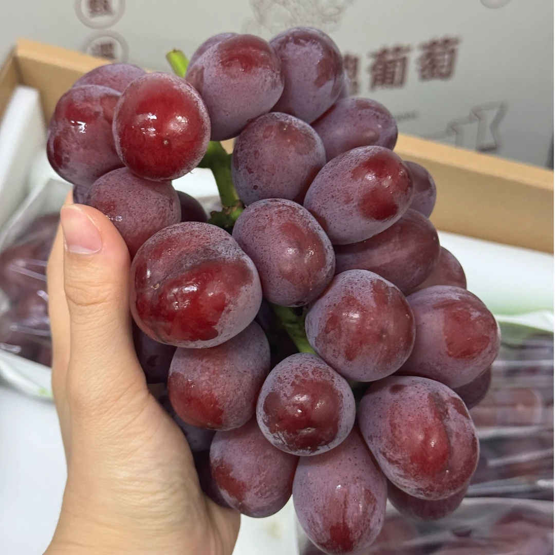 罗拉玫瑰葡萄荔绮贵妃含有荔枝和玫瑰香的复合香 礼盒装 顺风包邮