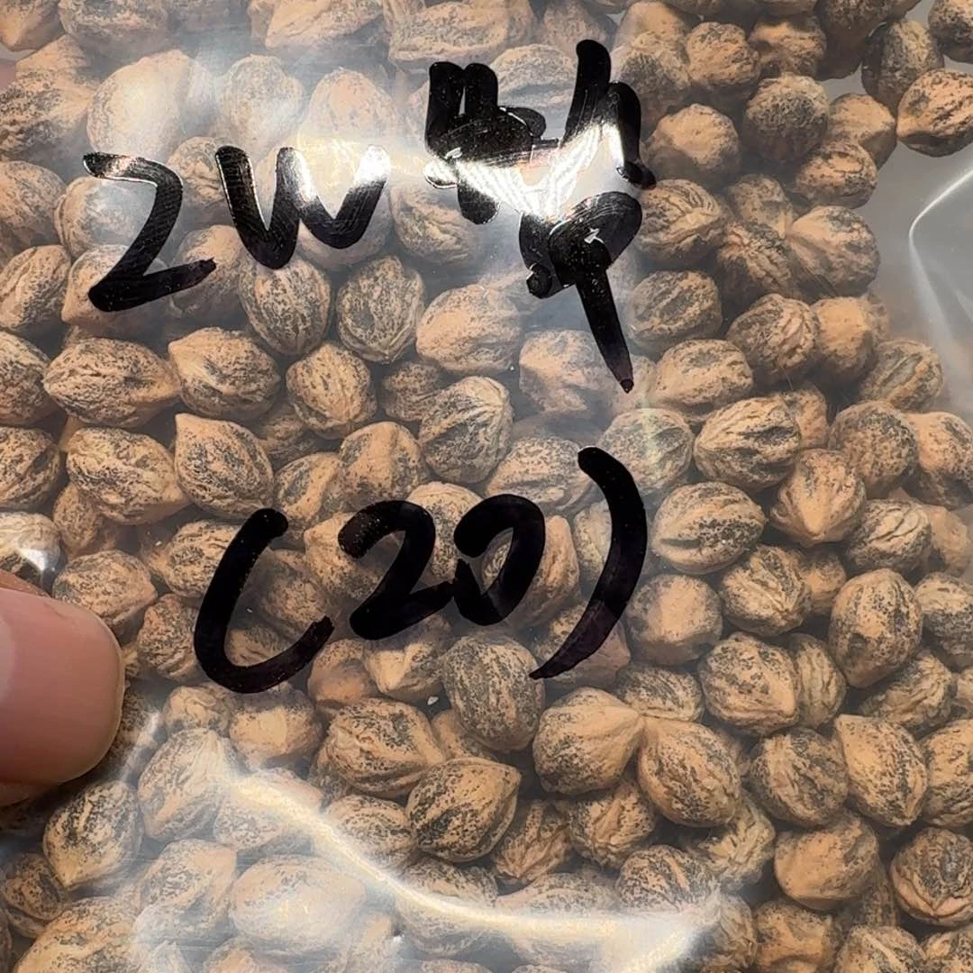 柏香籽/百香籽吊坠赴*