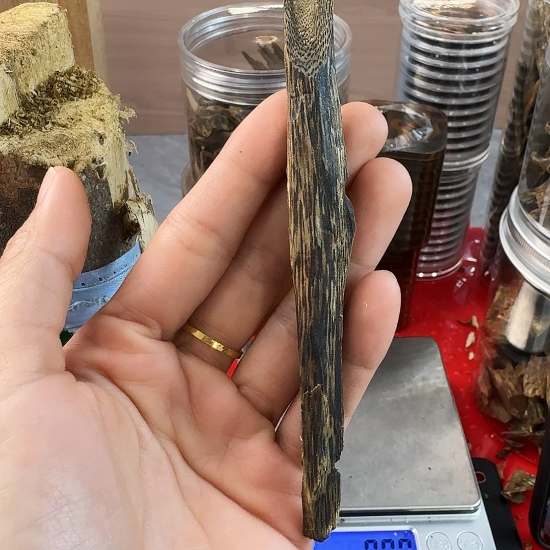 香料绿奇楠虫漏白棋8克