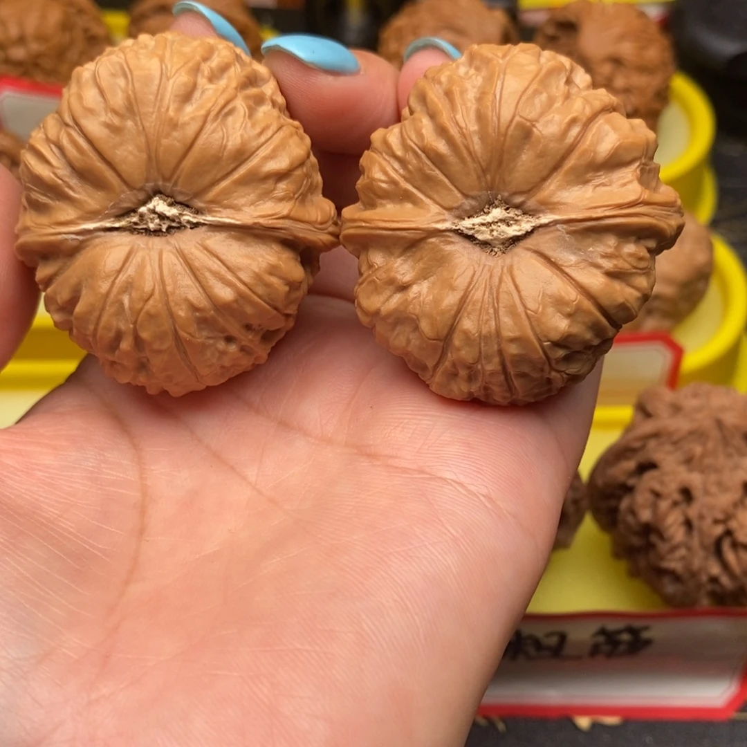 憨***人菩提籽类南瓜墩墩
