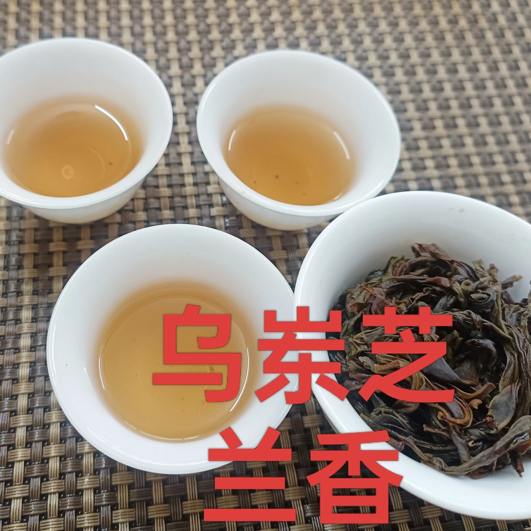 芝兰香老枞茶，凤凰单丛乌龙茶潮州特产茶叶