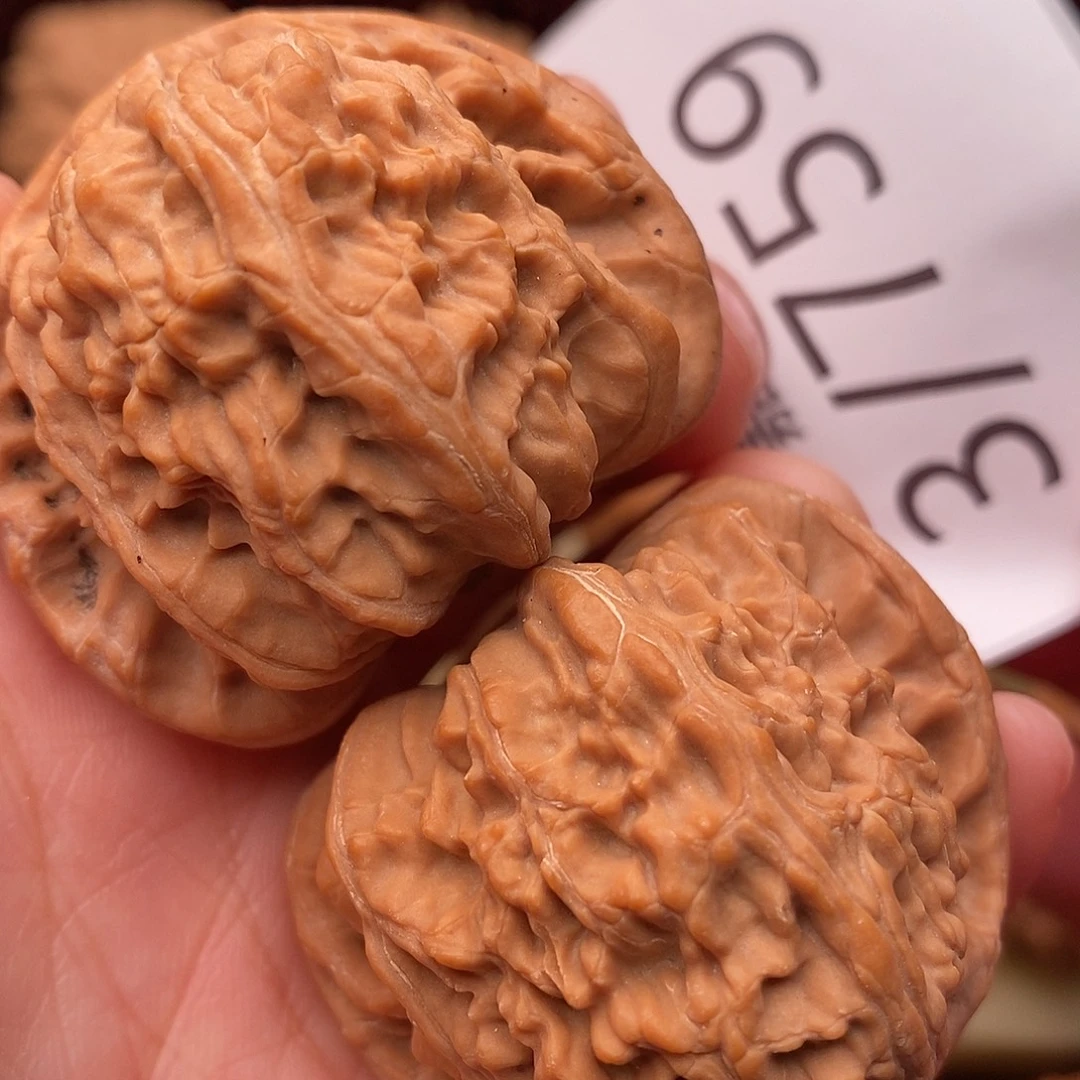 把件文玩核桃43白狮子