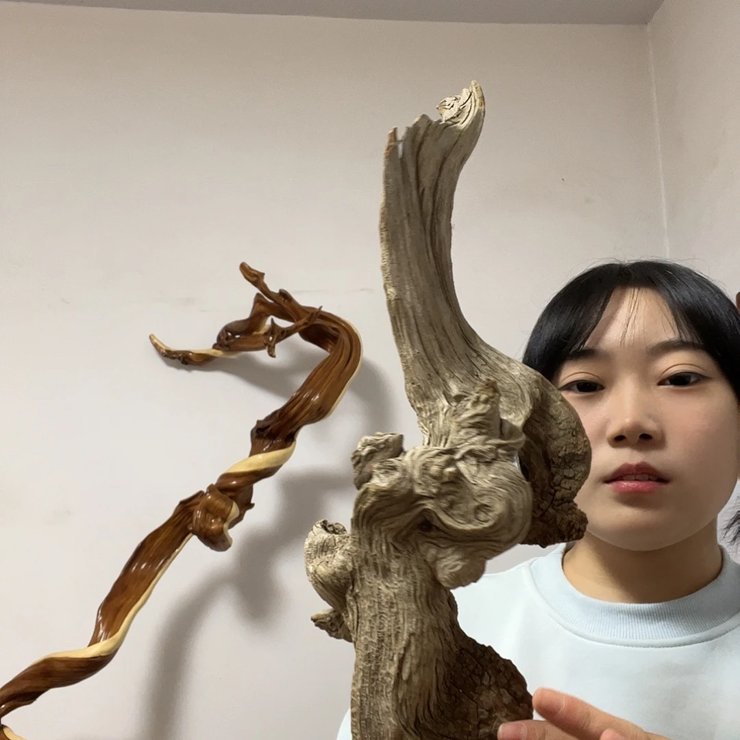 远***山柏木我也想去的路上遇到了