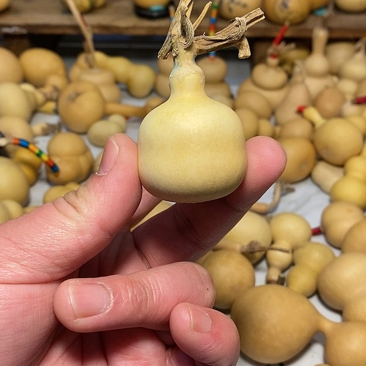 余**己精品葫芦手把葫芦16