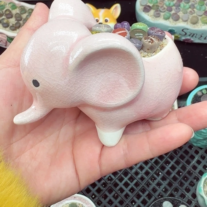 808零下地区记得拍保温箱