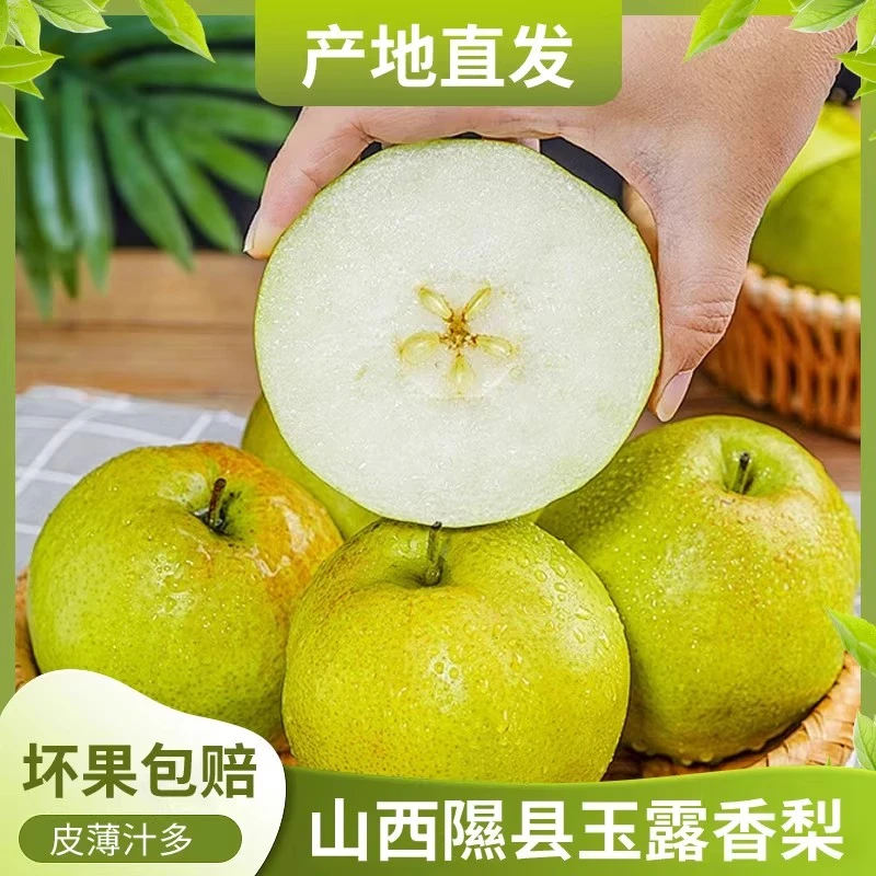 正宗山西隰县玉露香梨脆甜多汁细腻化渣产地直发整箱包邮
