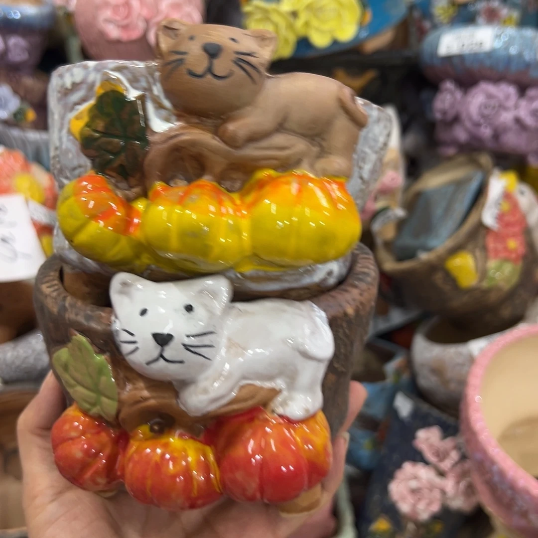 多肉花盆，满20米发货爱退款拉黑