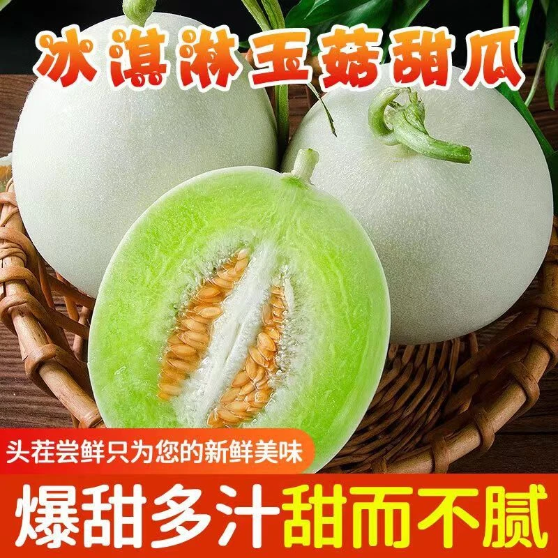 正宗冰淇淋玉菇甜瓜新鲜水果当季山东产地直发应季水果