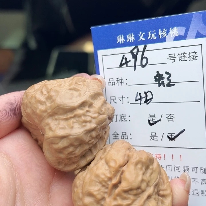 文玩核桃吊坠核桃树496