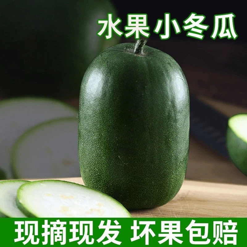 山东水果小冬瓜精品新鲜蔬菜现摘现发新鲜迷你水果小冬瓜当季农家自种绿色蔬菜5