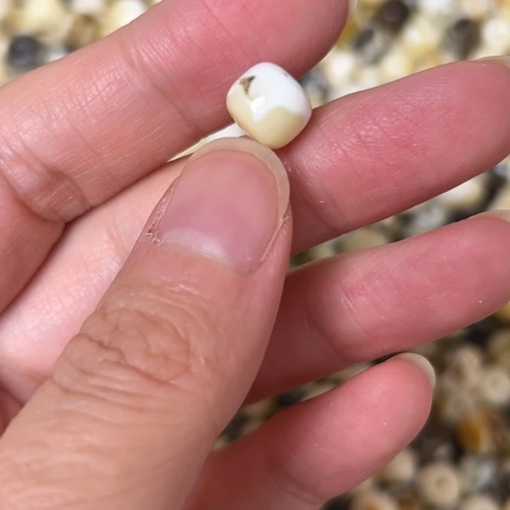 蜜蜡未镶嵌裸石8.9mm一个