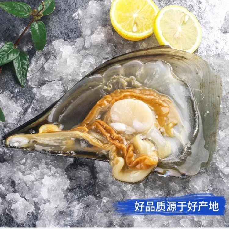 出口深海带子皇顺丰发货