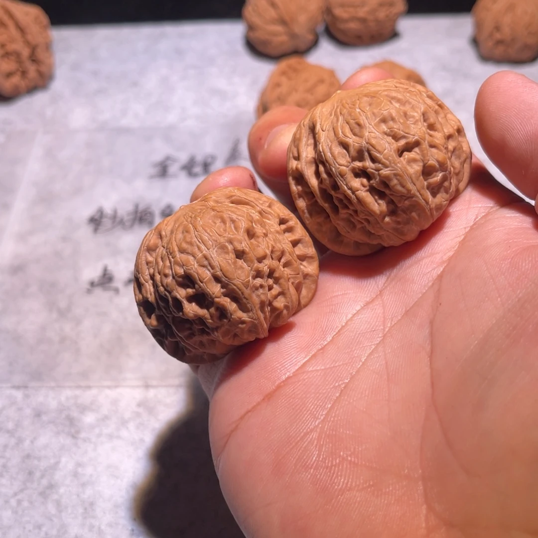 ****哈哈哈哈哈哈哈哈哈哈