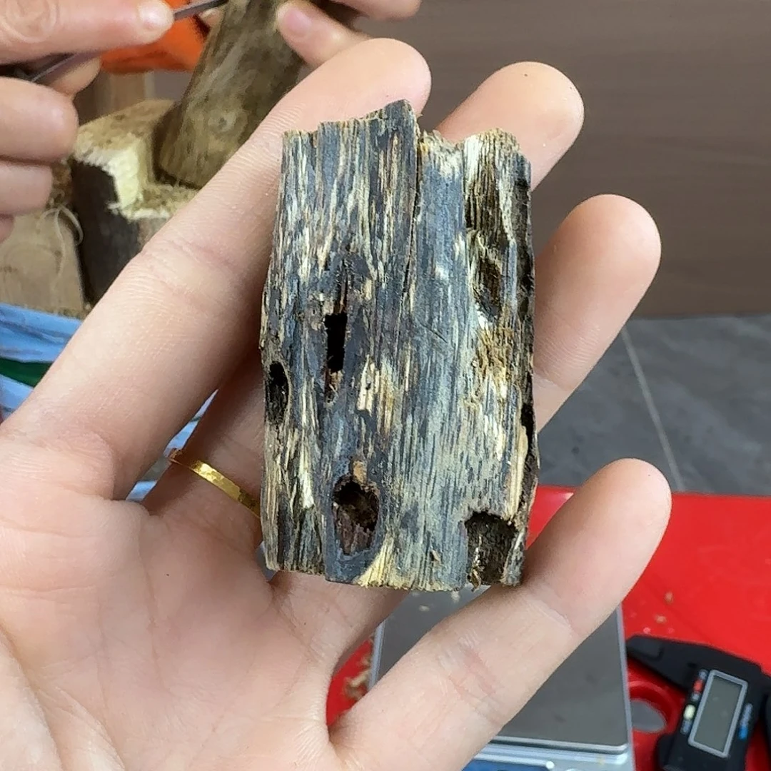 香料绿奇楠虫漏陆河16克