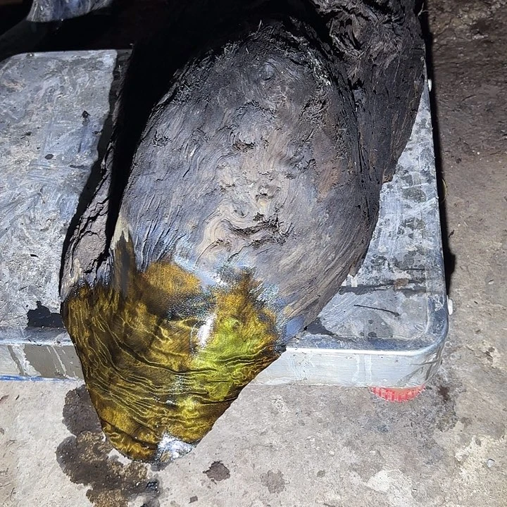 龙***霄金丝楠金丝楠阴沉木