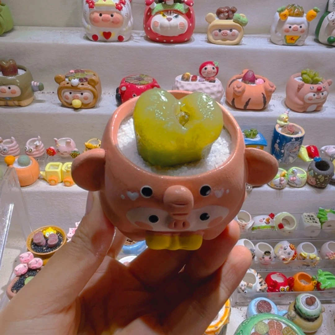 008高端多肉带盆土一套58