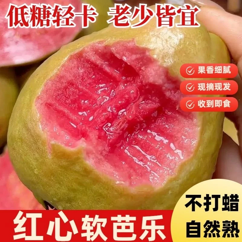 【软糯香甜】红心软心芭乐软糯香甜番石榴当季水果云南广西产地直发