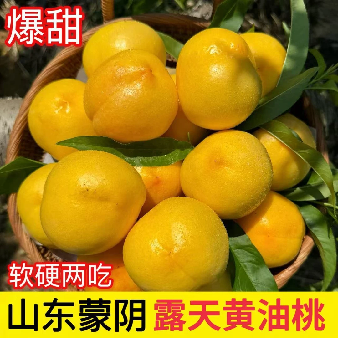 【京东包邮】山东蒙阴黄金油桃无毛当季现摘水果香甜多汁3-4.5斤