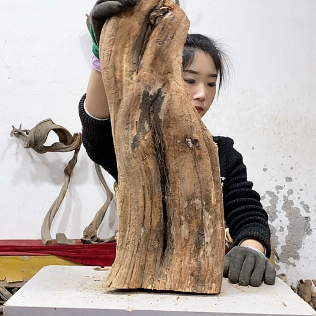 【闪购商品】柏木关****清我们都是好孩子