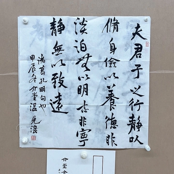 书法温先浪68*68㎝湖南   军旅书法