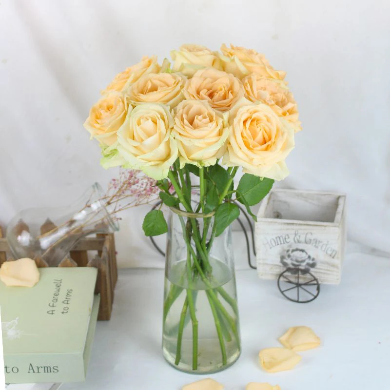 次日达8支香槟色玫瑰