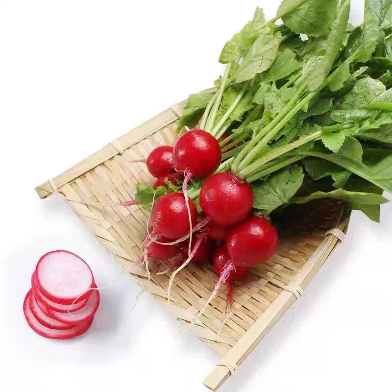 东北农家自种小萝卜菜蘸酱