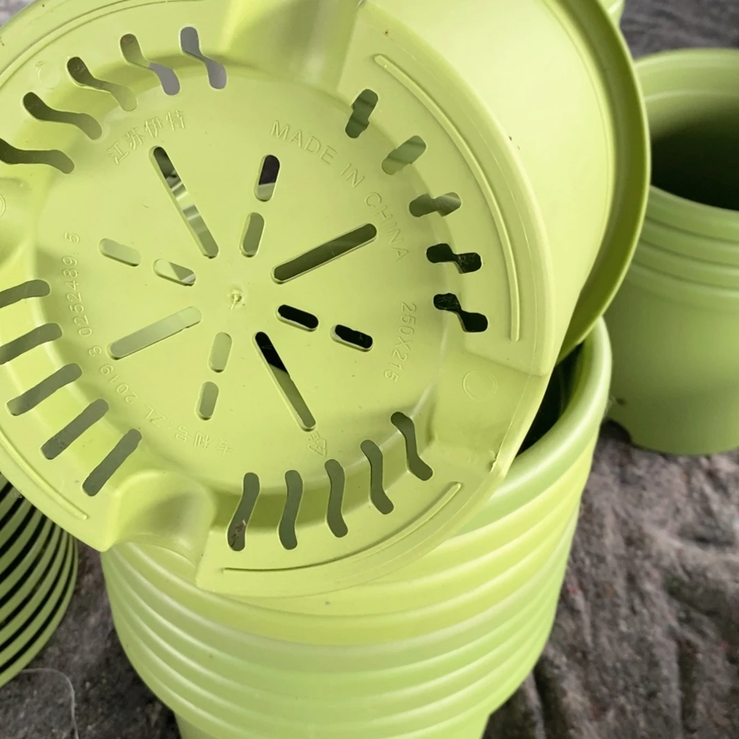 10个25口果绿异色无托