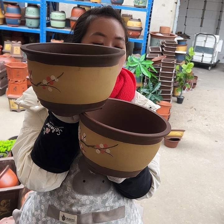 005小一对花盆花盆花盆