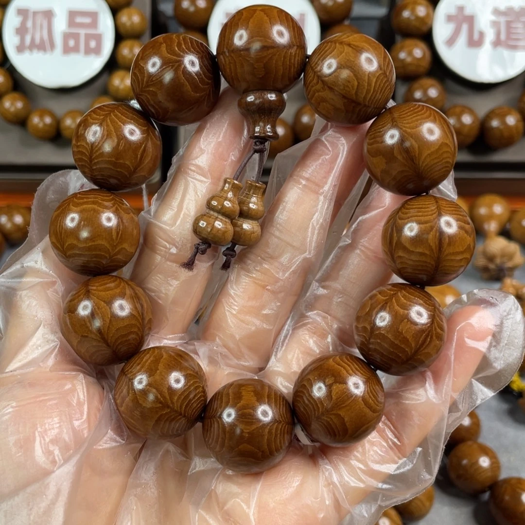 六道木枯树， 毕业2.0