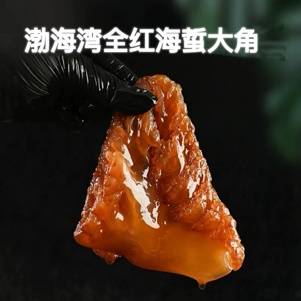 【全红大角】渤海湾野生大角海蜇头 红蜇头绵蜇头 拍5斤送半斤