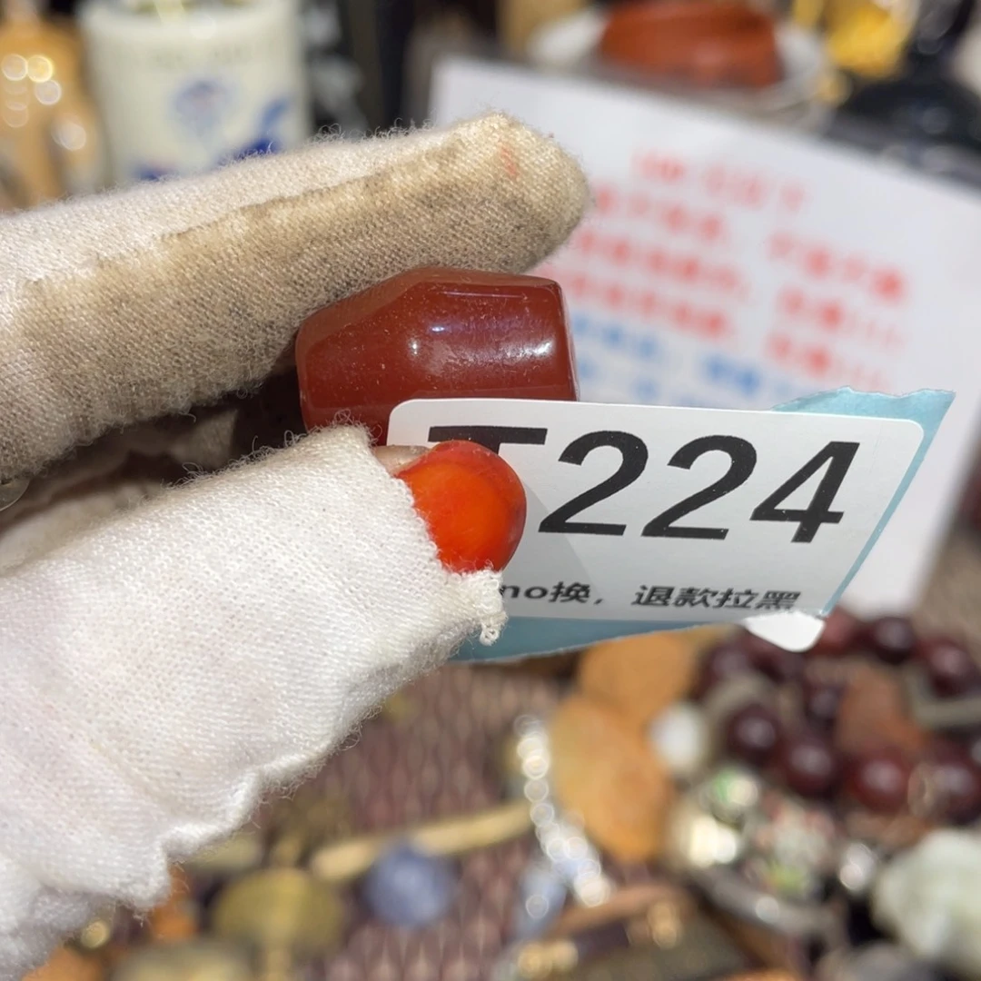 瓷片蛤**子火爆瓷片火爆瓷片