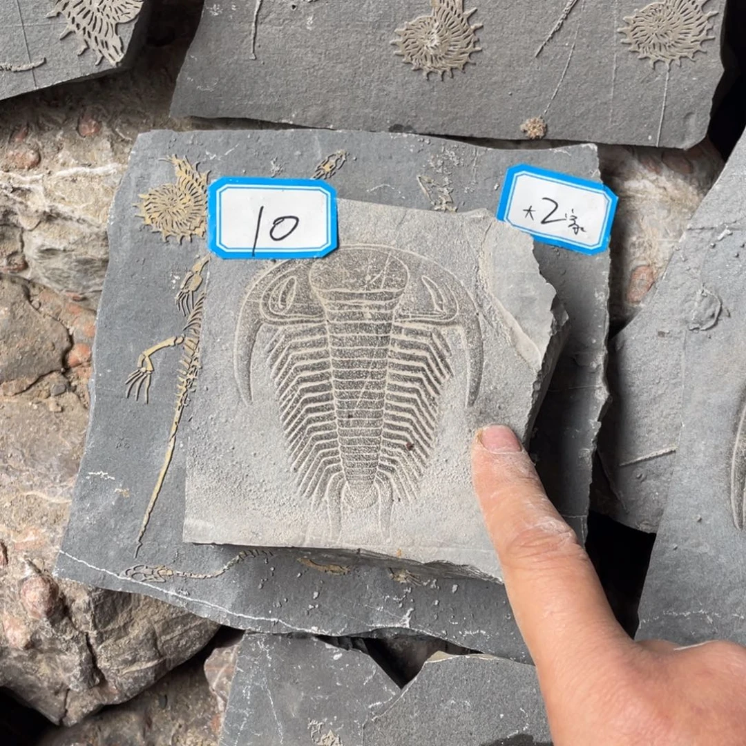 石材100000000000000000000