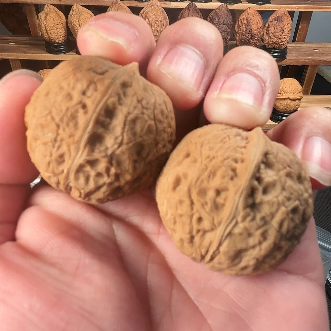 把件龙脊菩提金丝铜钱