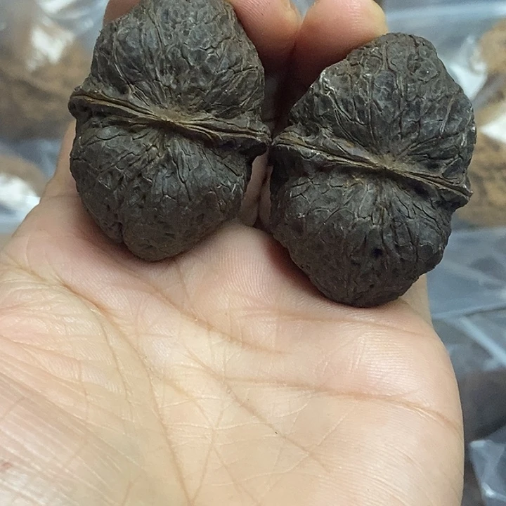 把件文玩核桃云南铁核桃基地64