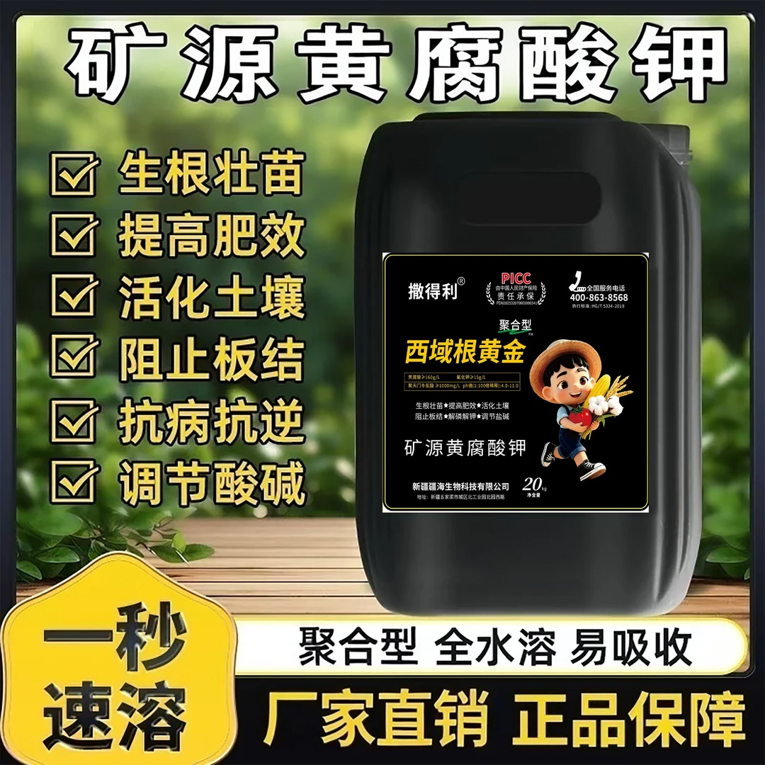 西域根黄金意向金