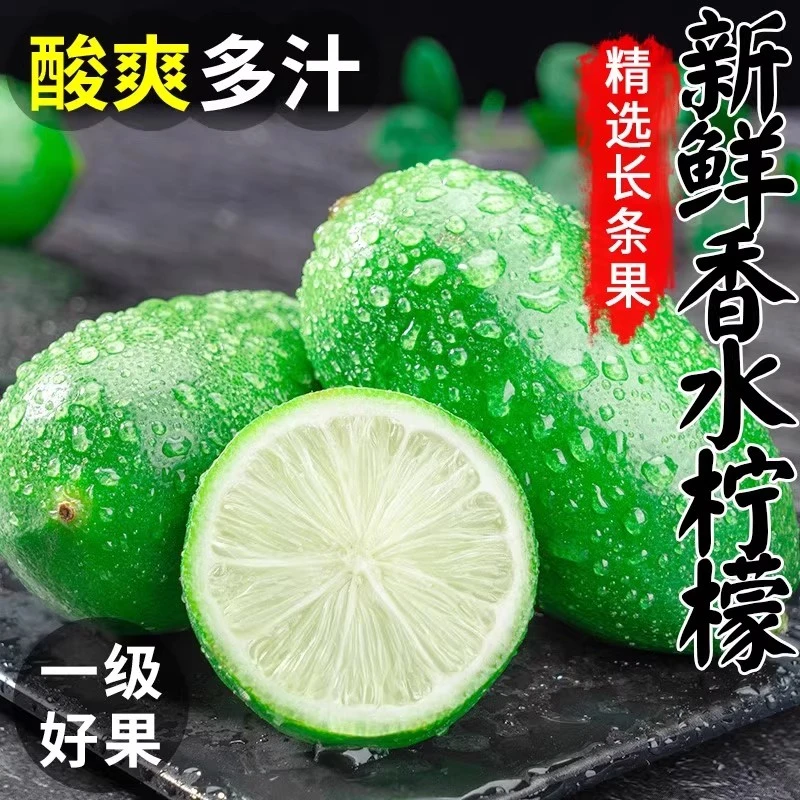 海南无籽香水柠檬新鲜当季水果奶茶店专用青柠檬皮薄包邮