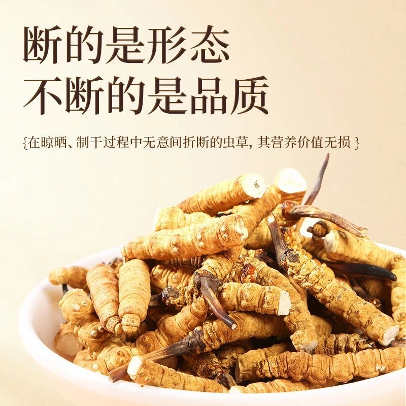 断草野生冬虫夏草断草