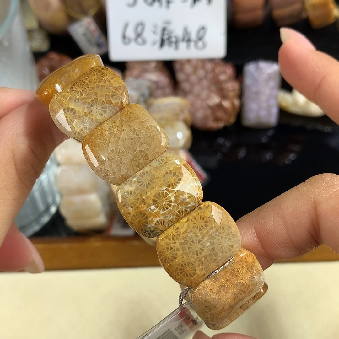 吊坠(赠链)未镶嵌硅化珊瑚（珊瑚玉）29号68漏48