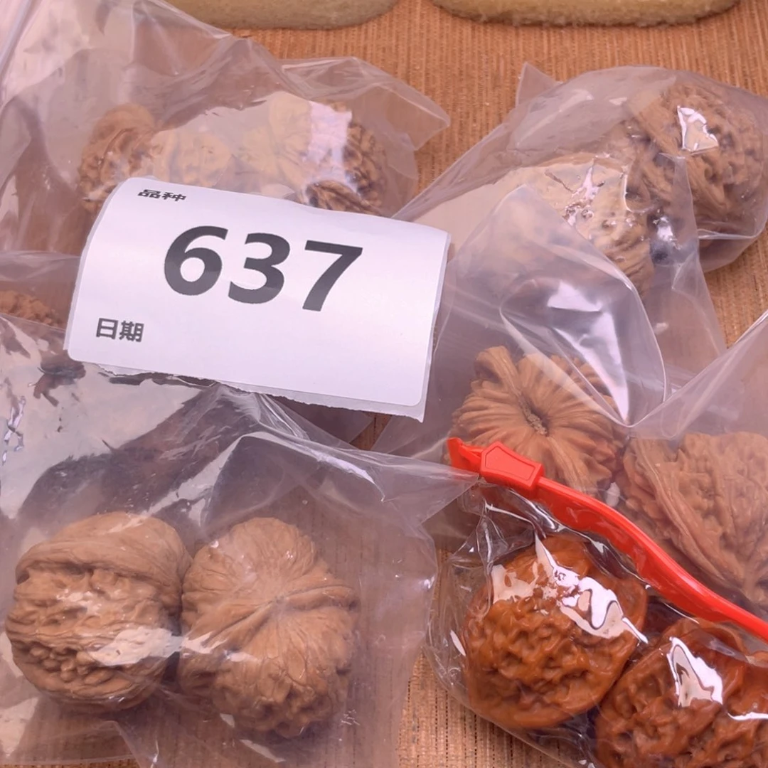 文玩核桃把件637号6对带练手元宝